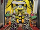 Dịch vụ đào thài